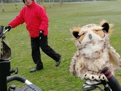 Hivernales 2018-2019